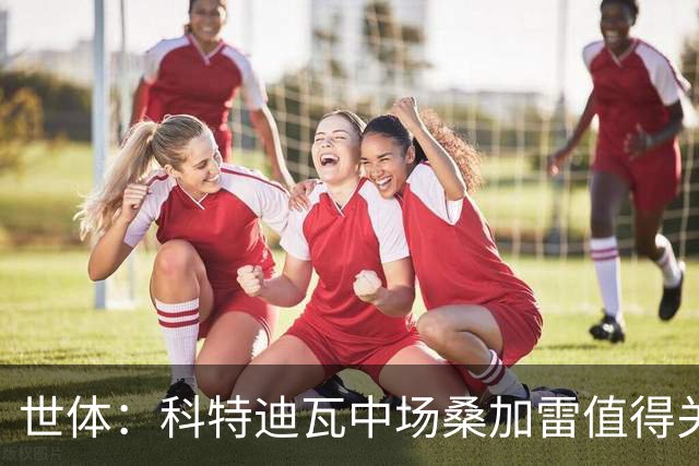 世体：科特迪瓦中场桑加雷值得关注，球队想击败挪威他会是关键